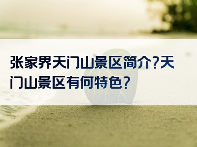 张家界天门山景区简介？天门山景区有何特色？