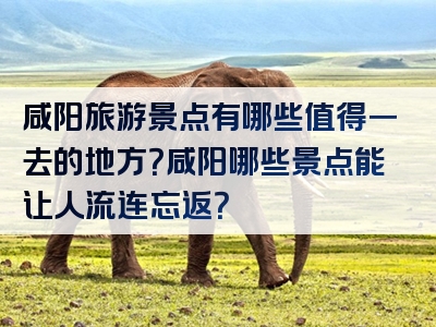 咸阳旅游景点有哪些值得一去的地方？咸阳哪些景点能让人流连忘返？