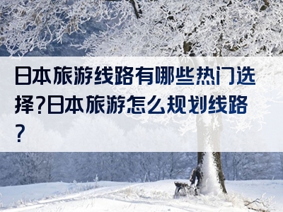 日本旅游线路有哪些热门选择？日本旅游怎么规划线路？