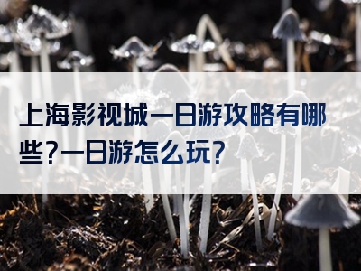 上海影视城一日游攻略有哪些？一日游怎么玩？