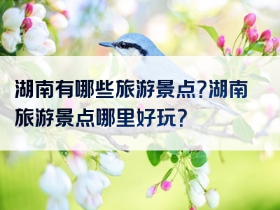 湖南有哪些旅游景点？湖南旅游景点哪里好玩？