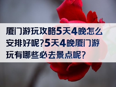 厦门游玩攻略5天4晚怎么安排好呢？5天4晚厦门游玩有哪些必去景点呢？