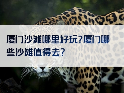 厦门沙滩哪里好玩？厦门哪些沙滩值得去？