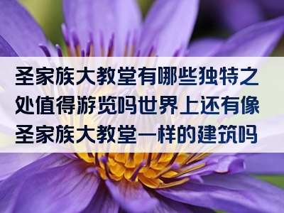 圣家族大教堂有哪些独特之处值得游览吗世界上还有像圣家族大教堂一样的建筑吗