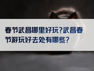 春节武昌哪里好玩？武昌春节游玩好去处有哪些？