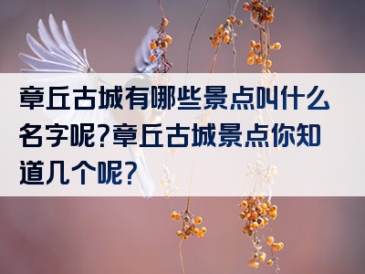 章丘古城有哪些景点叫什么名字呢？章丘古城景点你知道几个呢？