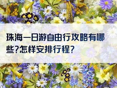 珠海一日游自由行攻略有哪些？怎样安排行程？