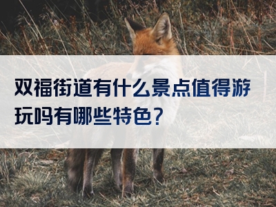 双福街道有什么景点值得游玩吗有哪些特色？
