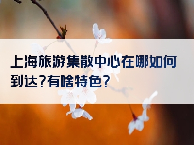 上海旅游集散中心在哪如何到达？有啥特色？