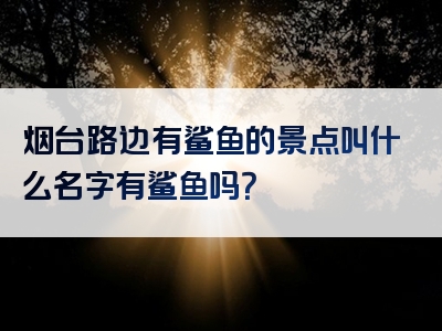 烟台路边有鲨鱼的景点叫什么名字有鲨鱼吗？