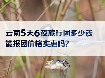 云南5天6夜旅行团多少钱能报团价格实惠吗？