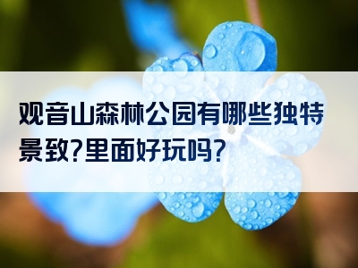 观音山森林公园有哪些独特景致？里面好玩吗？