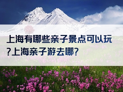 上海有哪些亲子景点可以玩？上海亲子游去哪？