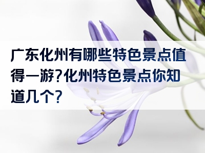 广东化州有哪些特色景点值得一游？化州特色景点你知道几个？