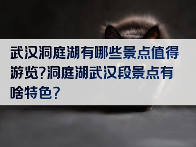 武汉洞庭湖有哪些景点值得游览？洞庭湖武汉段景点有啥特色？
