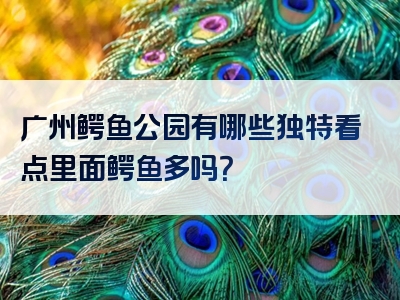 广州鳄鱼公园有哪些独特看点里面鳄鱼多吗？