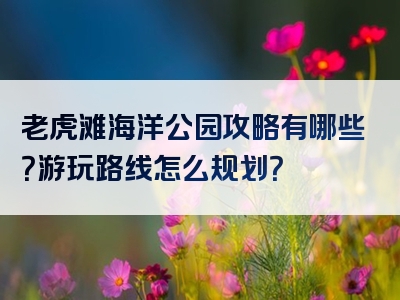 老虎滩海洋公园攻略有哪些？游玩路线怎么规划？