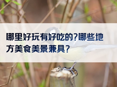 哪里好玩有好吃的？哪些地方美食美景兼具？