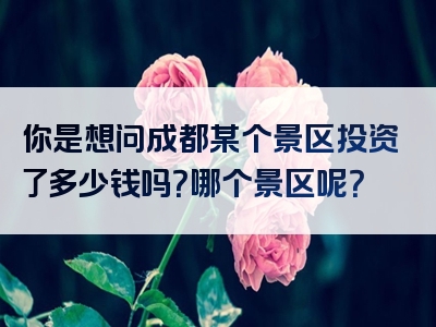 你是想问成都某个景区投资了多少钱吗？哪个景区呢？