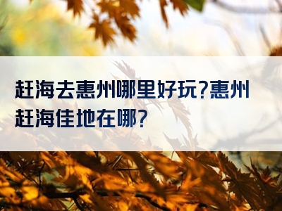 赶海去惠州哪里好玩？惠州赶海佳地在哪？