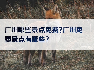 广州哪些景点免费？广州免费景点有哪些？