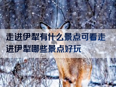 走进伊犁有什么景点可看走进伊犁哪些景点好玩
