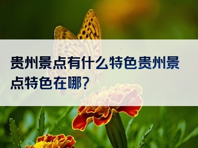 贵州景点有什么特色贵州景点特色在哪？