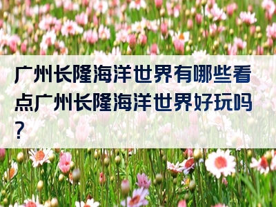 广州长隆海洋世界有哪些看点广州长隆海洋世界好玩吗？