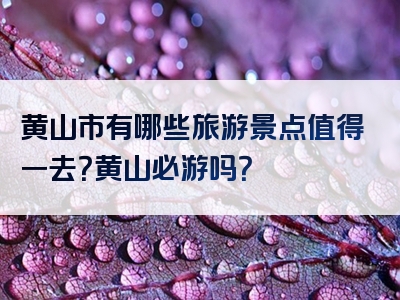 黄山市有哪些旅游景点值得一去？黄山必游吗？