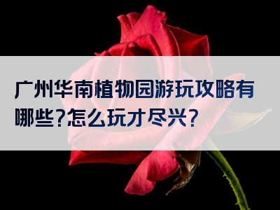 广州华南植物园游玩攻略有哪些？怎么玩才尽兴？
