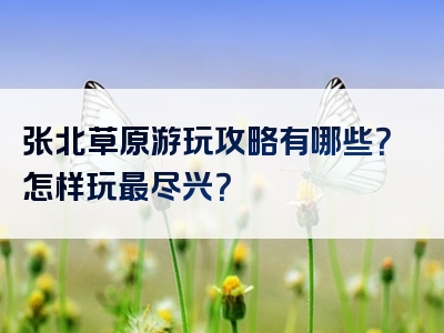 张北草原游玩攻略有哪些？怎样玩最尽兴？