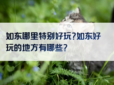如东哪里特别好玩？如东好玩的地方有哪些？