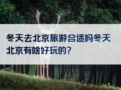 冬天去北京旅游合适吗冬天北京有啥好玩的？