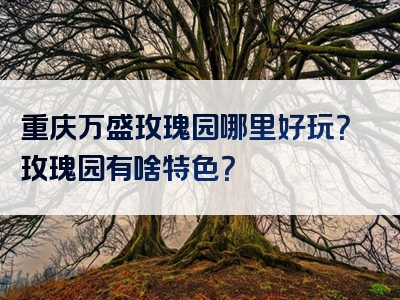 重庆万盛玫瑰园哪里好玩？玫瑰园有啥特色？