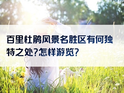 百里杜鹃风景名胜区有何独特之处？怎样游览？