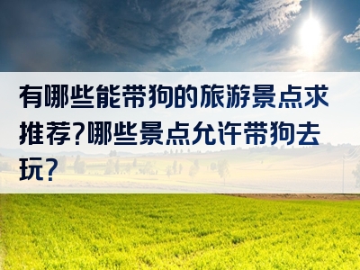 有哪些能带狗的旅游景点求推荐？哪些景点允许带狗去玩？