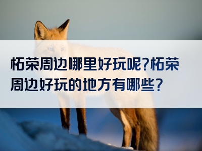 柘荣周边哪里好玩呢？柘荣周边好玩的地方有哪些？