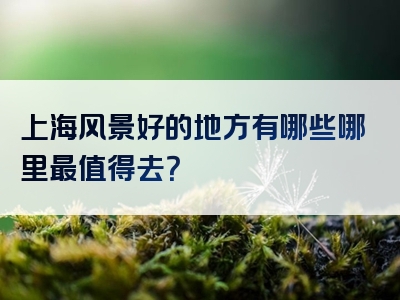 上海风景好的地方有哪些哪里最值得去？