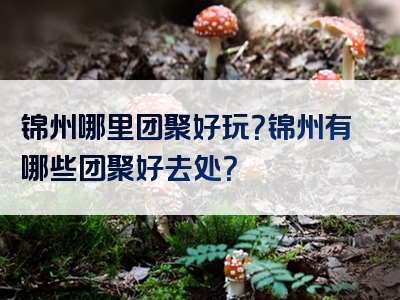 锦州哪里团聚好玩？锦州有哪些团聚好去处？