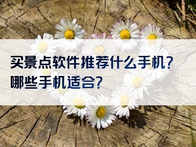买景点软件推荐什么手机？哪些手机适合？