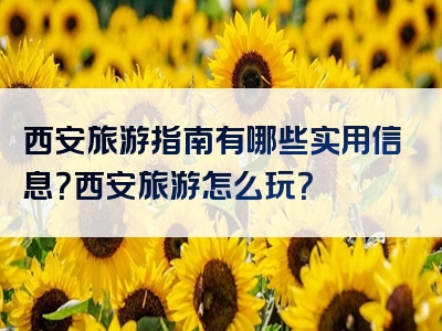 西安旅游指南有哪些实用信息？西安旅游怎么玩？