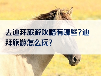 去迪拜旅游攻略有哪些？迪拜旅游怎么玩？