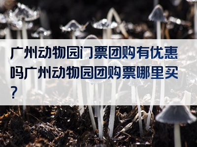 广州动物园门票团购有优惠吗广州动物园团购票哪里买？