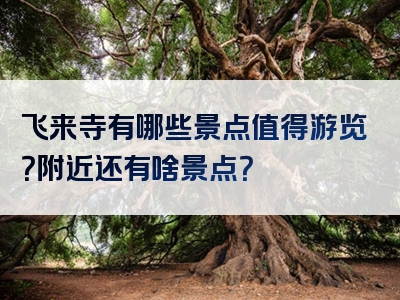 飞来寺有哪些景点值得游览？附近还有啥景点？