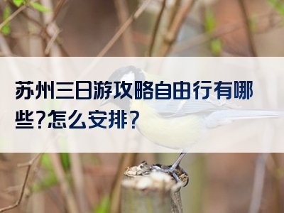 苏州三日游攻略自由行有哪些？怎么安排？