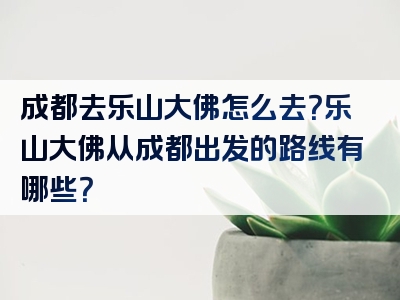 成都去乐山大佛怎么去？乐山大佛从成都出发的路线有哪些？