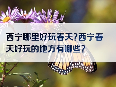 西宁哪里好玩春天？西宁春天好玩的地方有哪些？