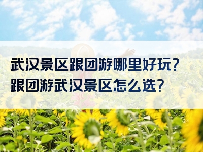 武汉景区跟团游哪里好玩？跟团游武汉景区怎么选？