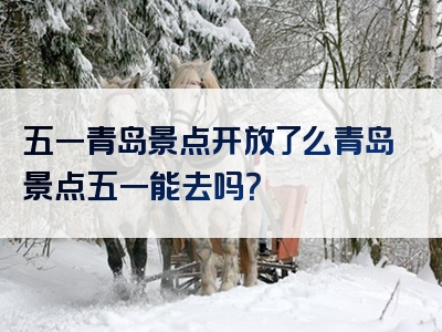 五一青岛景点开放了么青岛景点五一能去吗？