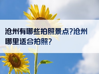 沧州有哪些拍照景点？沧州哪里适合拍照？